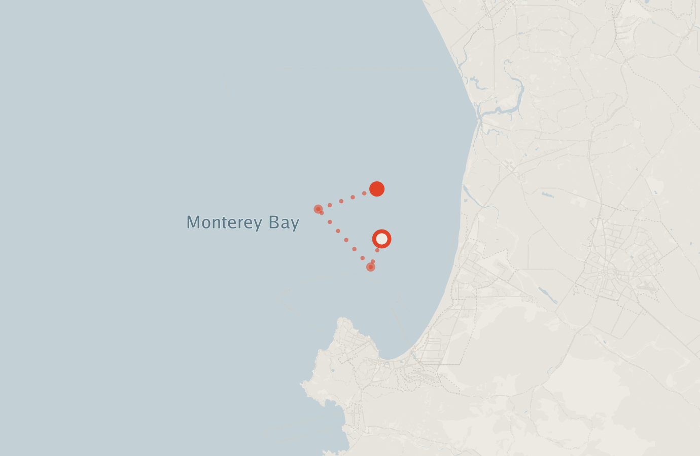 Activity map — real sighting points on an OpenStreetMap basemap