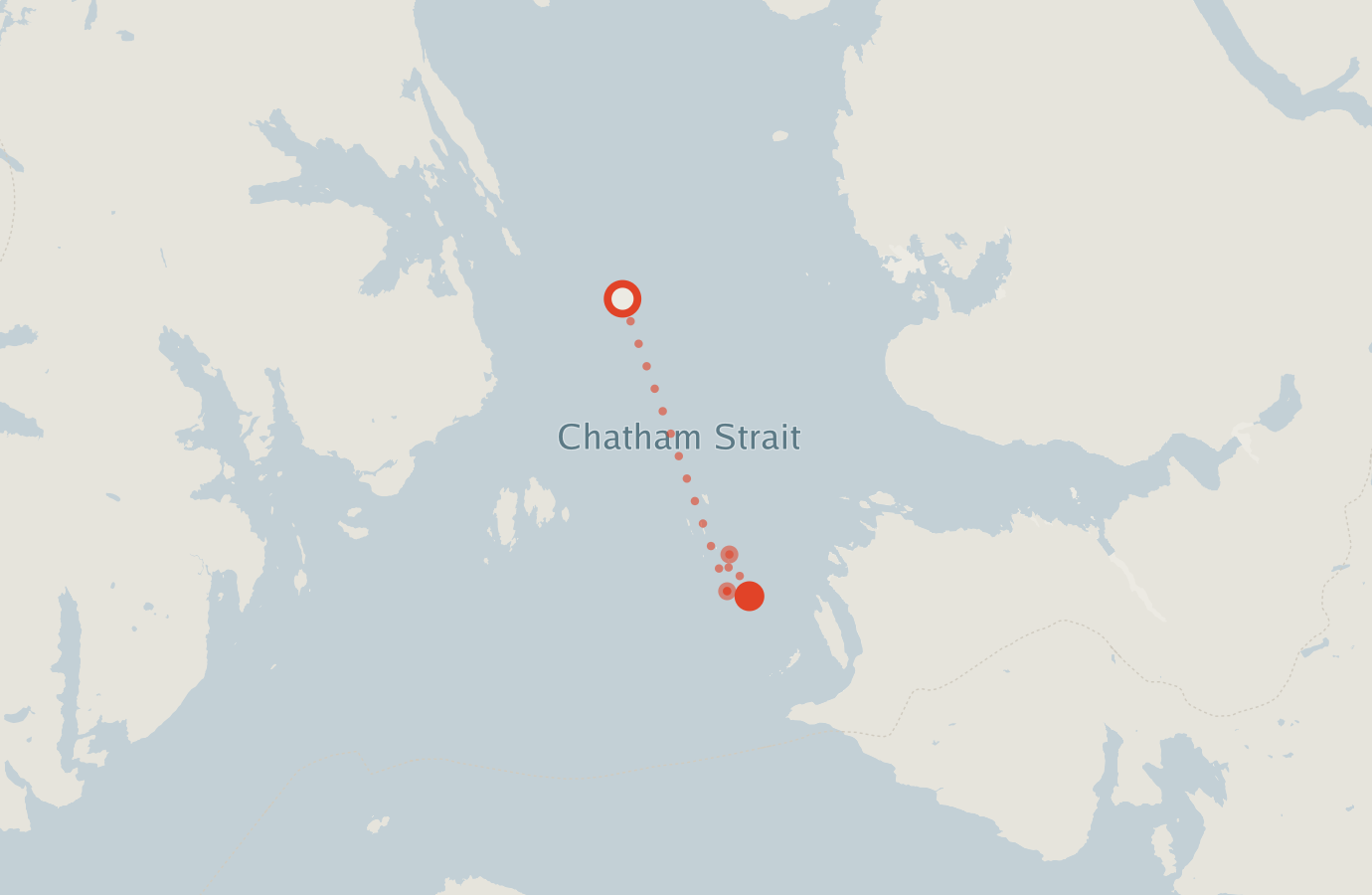 Activity map — real sighting points on an OpenStreetMap basemap