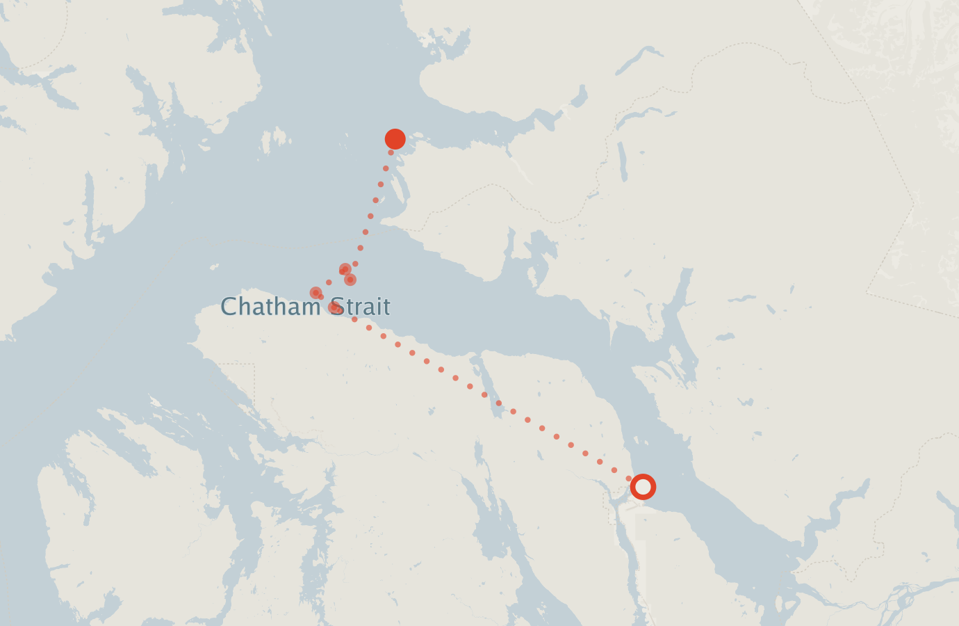 Activity map — real sighting points on an OpenStreetMap basemap
