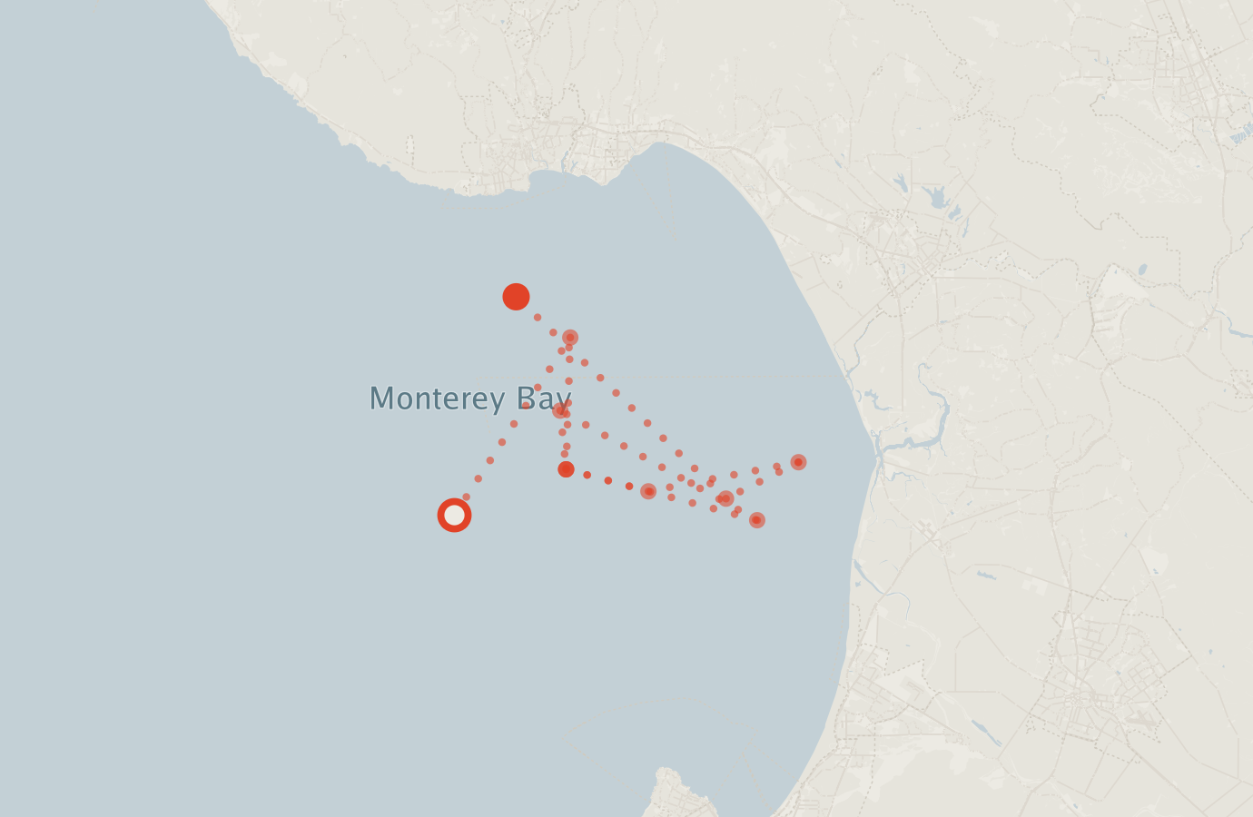 Activity map — real sighting points on an OpenStreetMap basemap