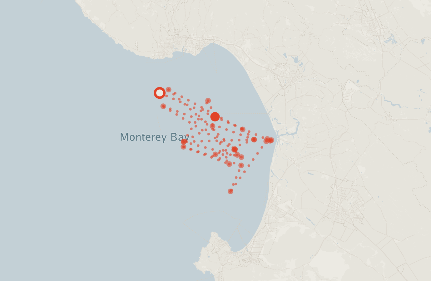 Activity map — real sighting points on an OpenStreetMap basemap