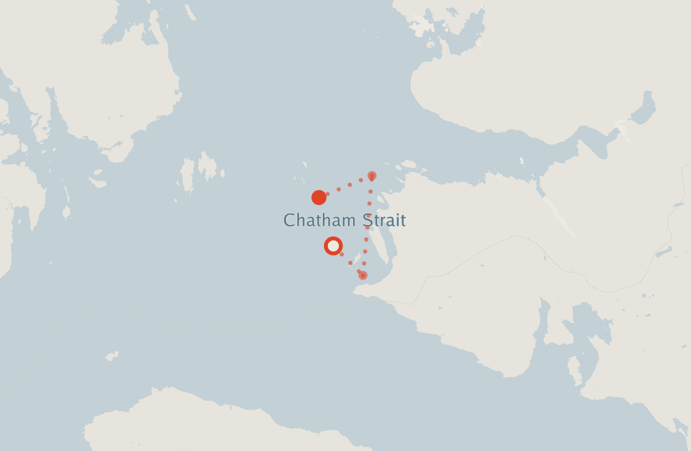 Activity map — real sighting points on an OpenStreetMap basemap