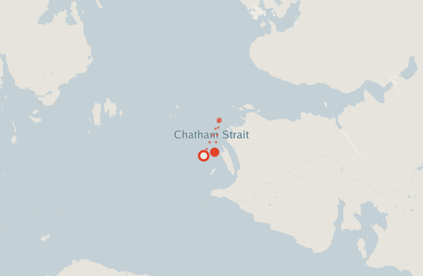 Activity map — real sighting points on an OpenStreetMap basemap