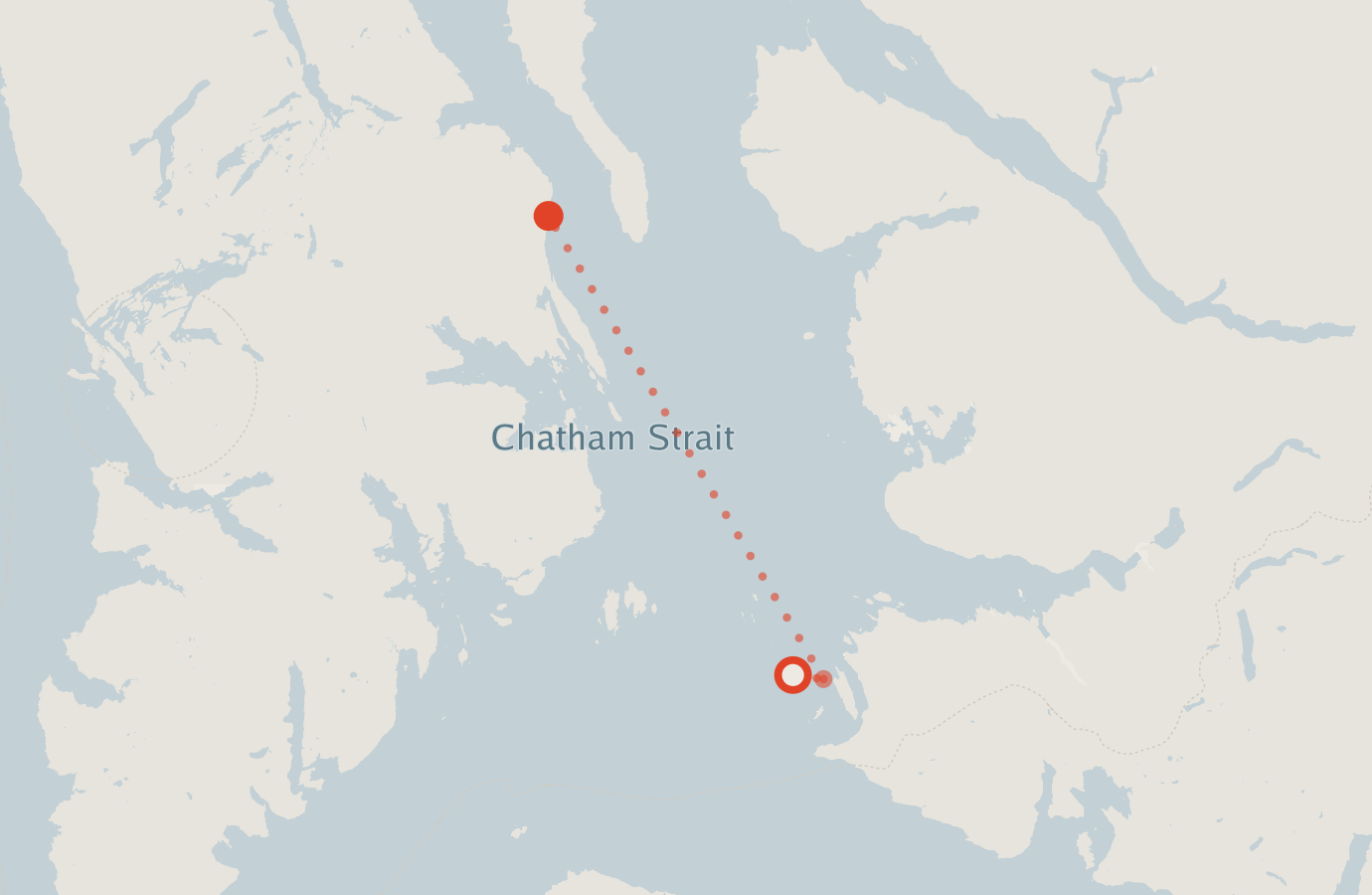 Activity map — real sighting points on an OpenStreetMap basemap