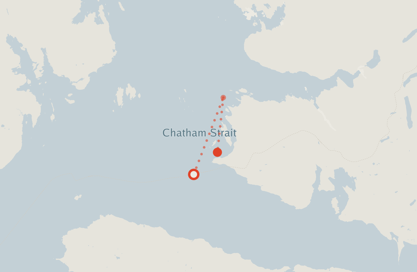 Activity map — real sighting points on an OpenStreetMap basemap