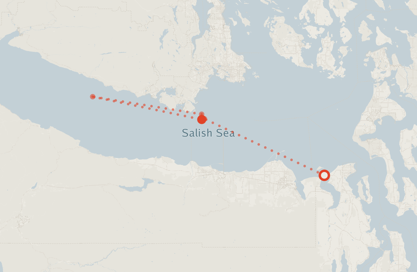 Activity map — real sighting points on an OpenStreetMap basemap