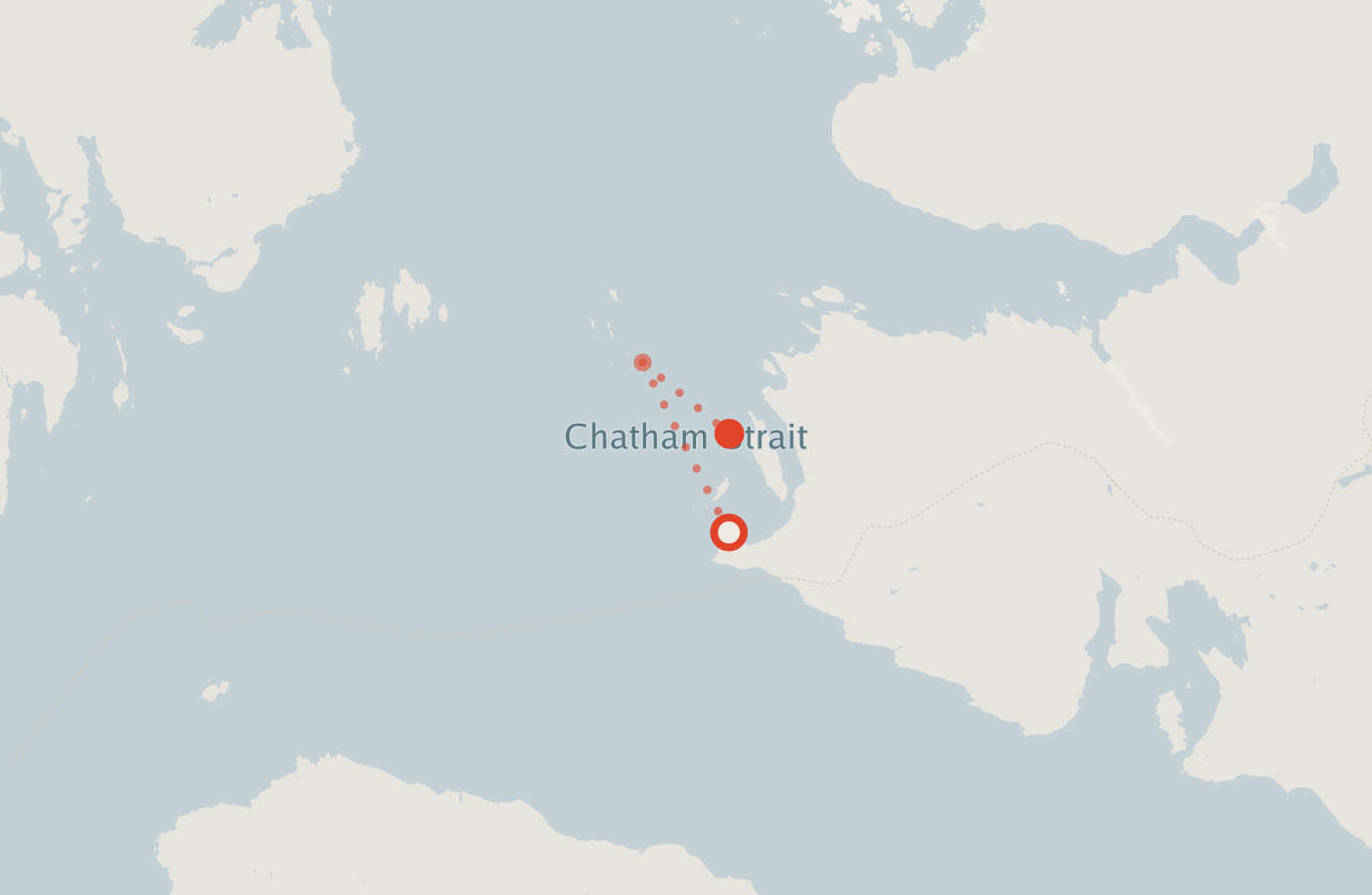 Activity map — real sighting points on an OpenStreetMap basemap