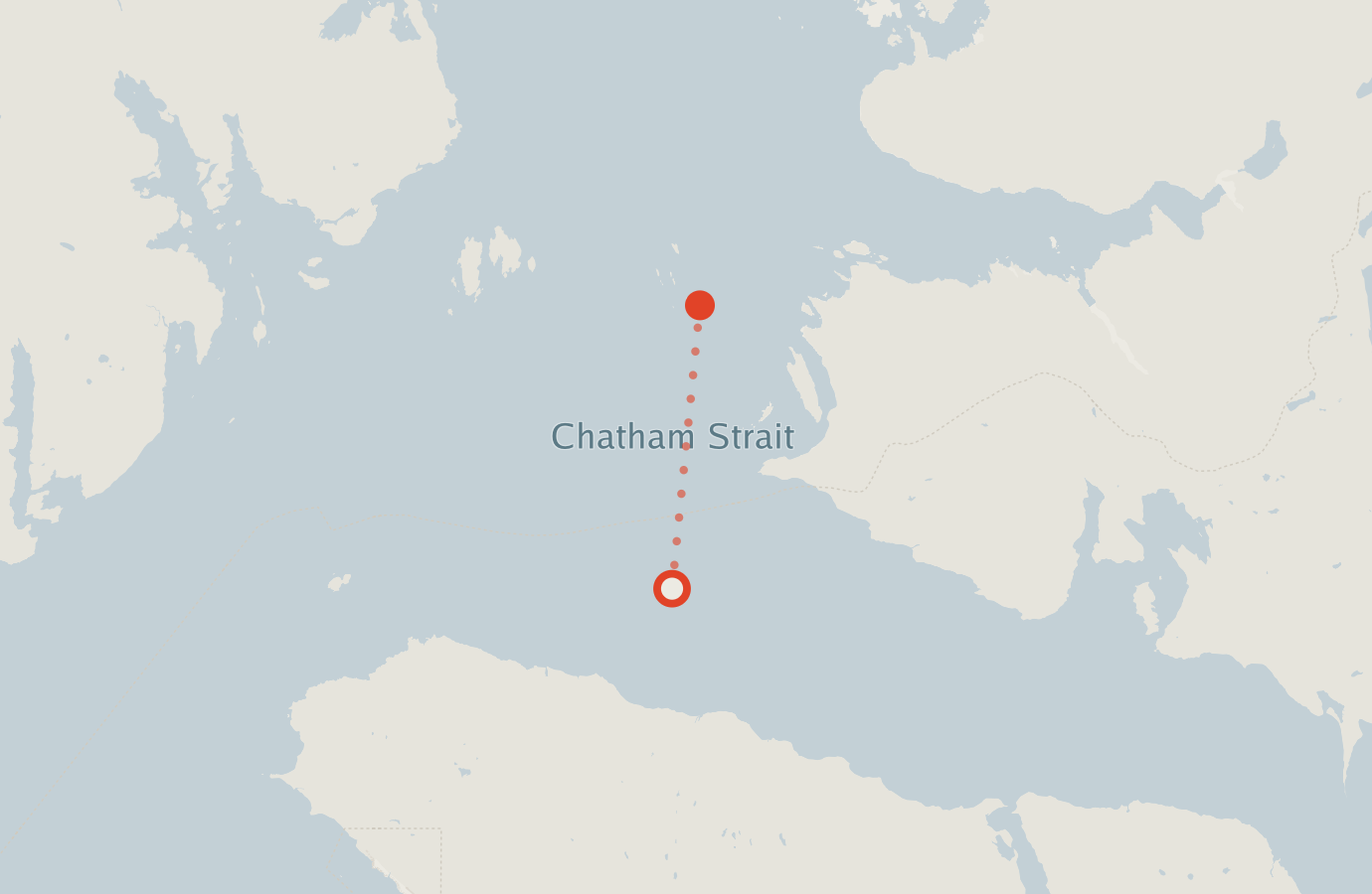 Activity map — real sighting points on an OpenStreetMap basemap