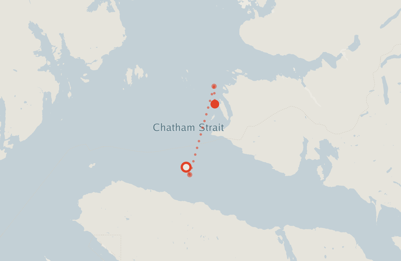 Activity map — real sighting points on an OpenStreetMap basemap