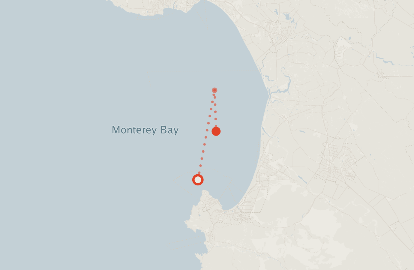 Activity map — real sighting points on an OpenStreetMap basemap