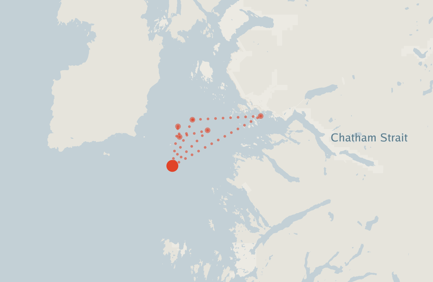 Activity map — real sighting points on an OpenStreetMap basemap
