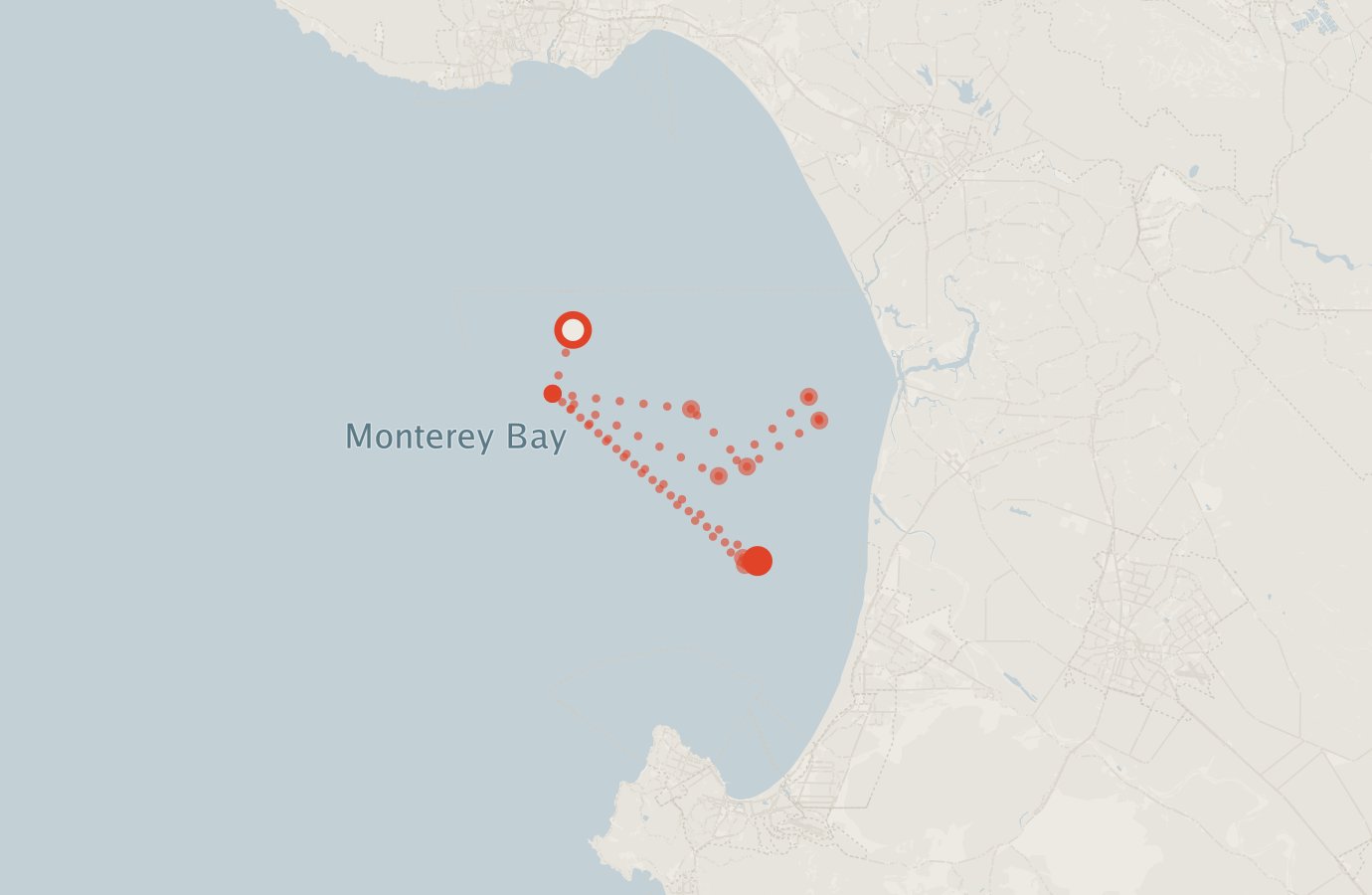 Activity map — real sighting points on an OpenStreetMap basemap