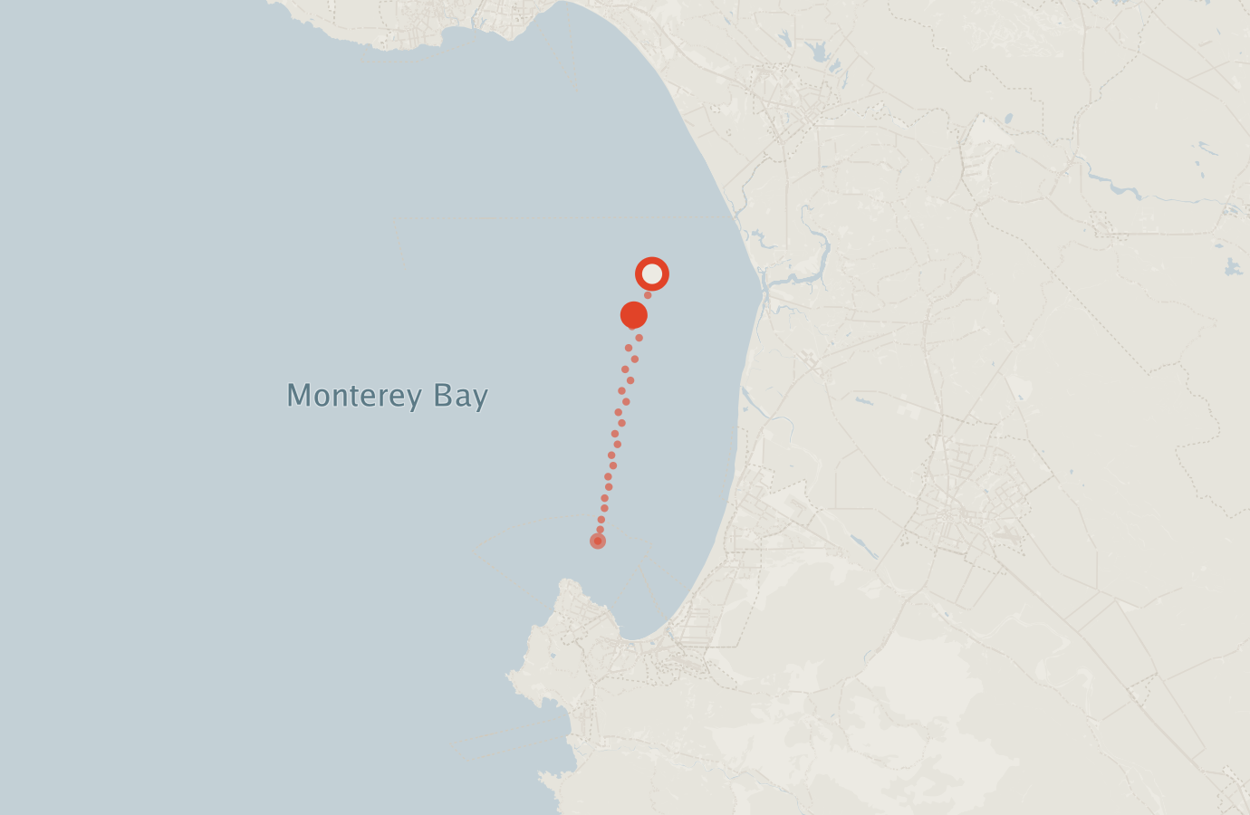 Activity map — real sighting points on an OpenStreetMap basemap