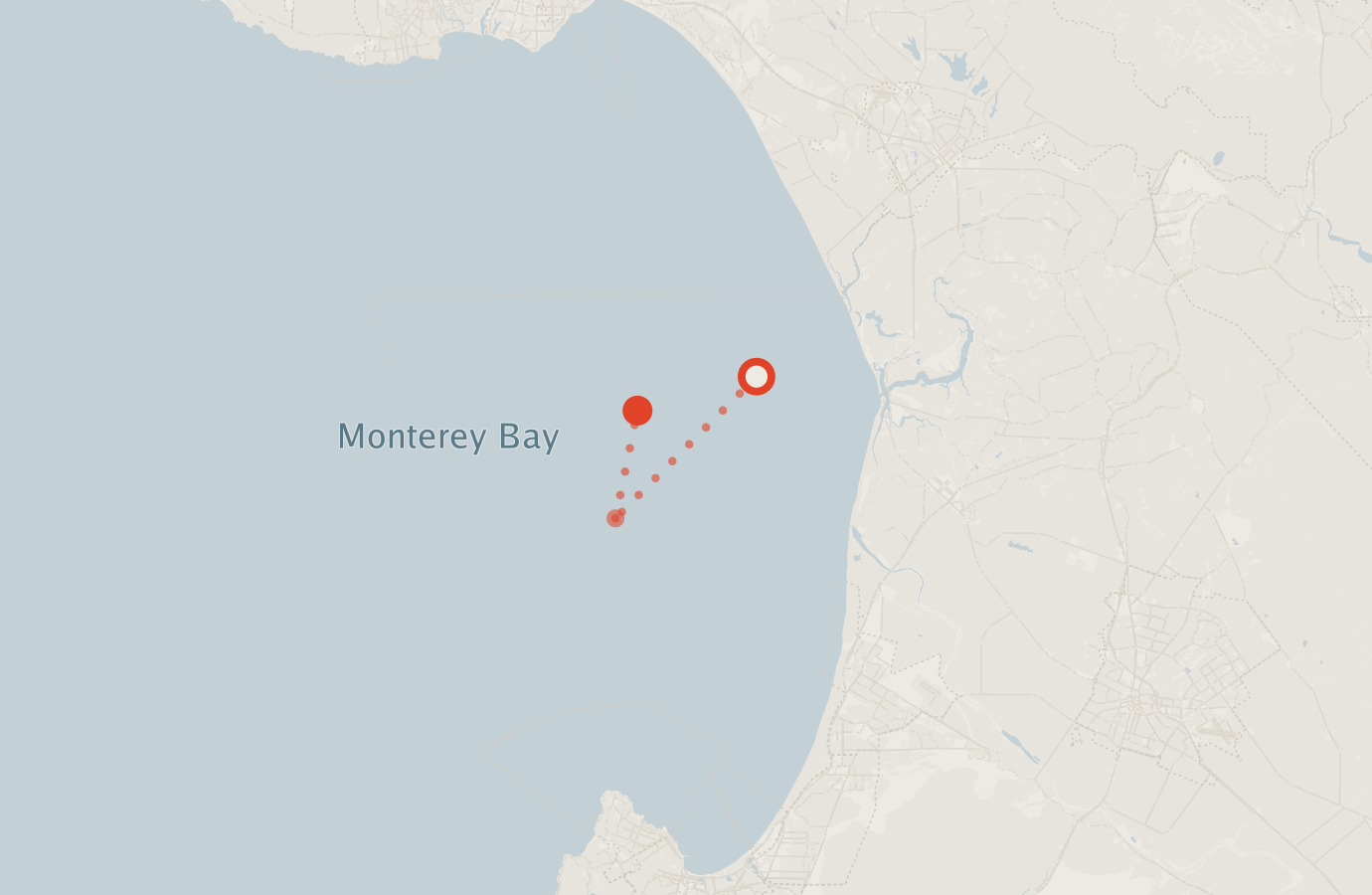 Activity map — real sighting points on an OpenStreetMap basemap