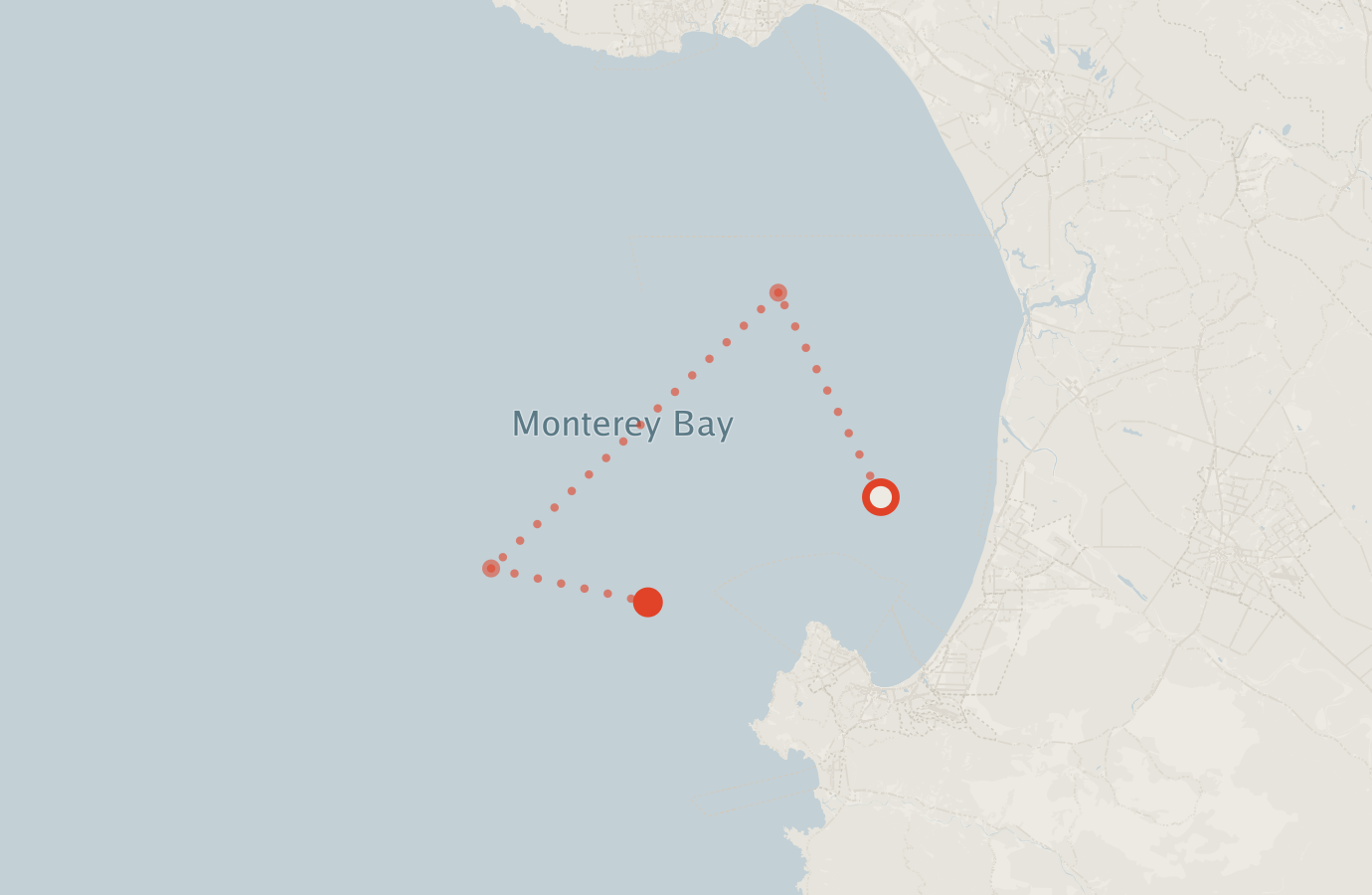 Activity map — real sighting points on an OpenStreetMap basemap