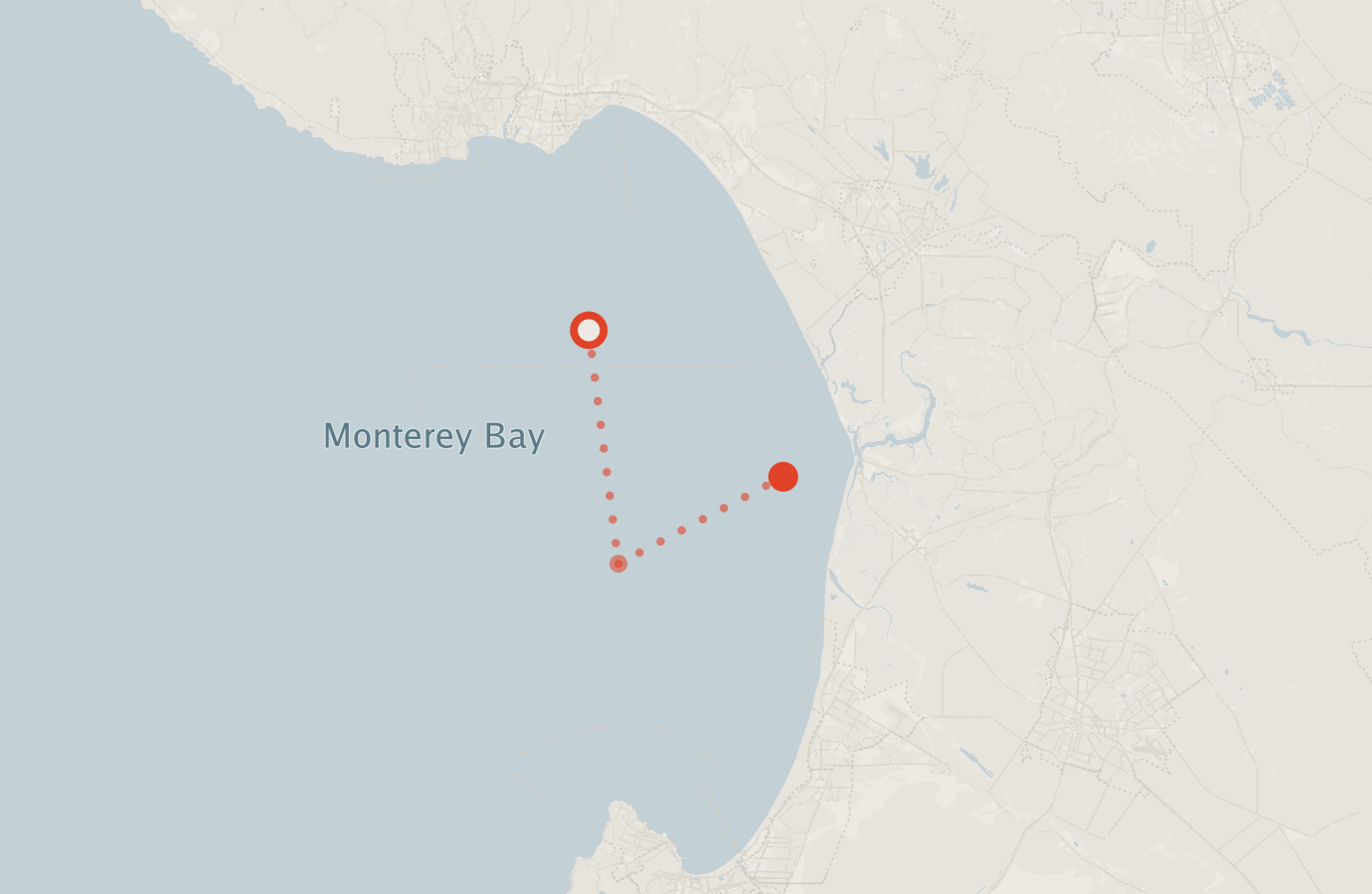 Activity map — real sighting points on an OpenStreetMap basemap