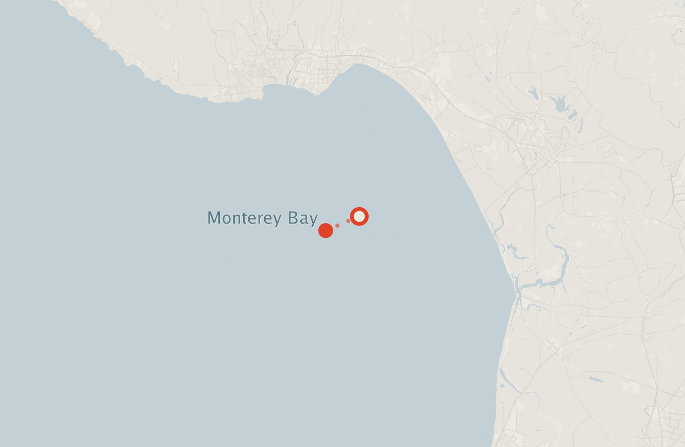 Activity map — real sighting points on an OpenStreetMap basemap