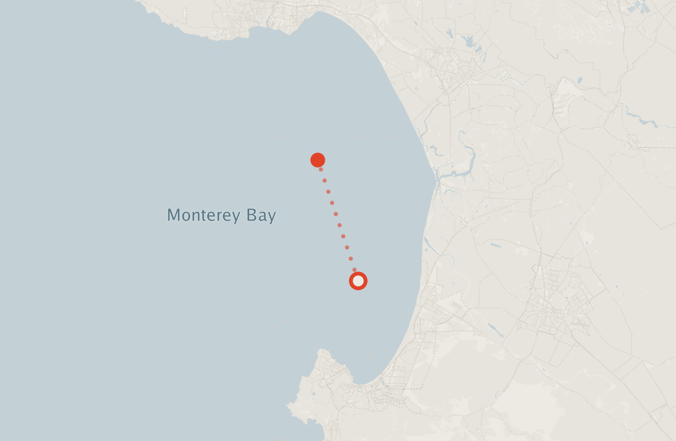 Activity map — real sighting points on an OpenStreetMap basemap