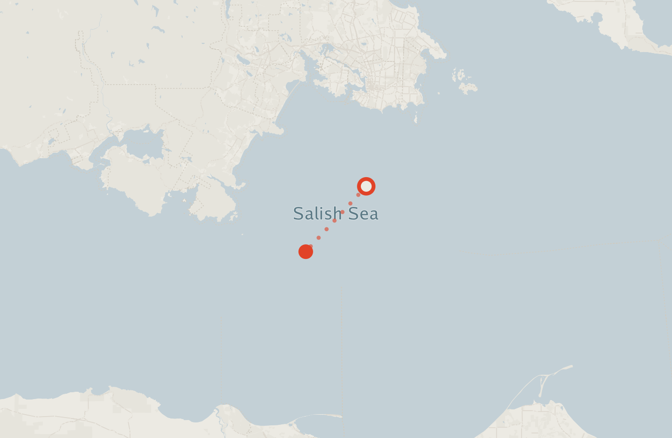 Activity map — real sighting points on an OpenStreetMap basemap