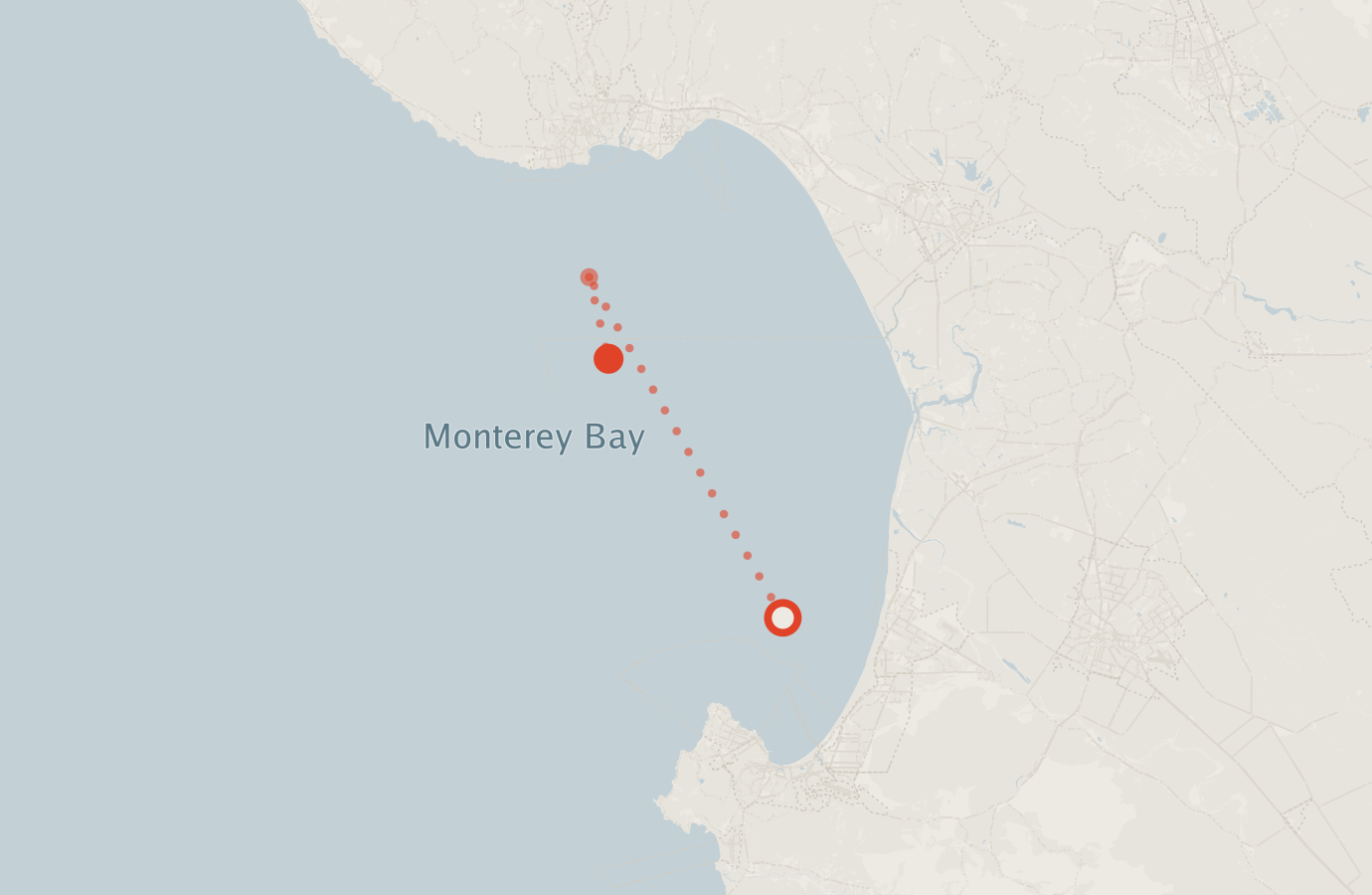 Activity map — real sighting points on an OpenStreetMap basemap