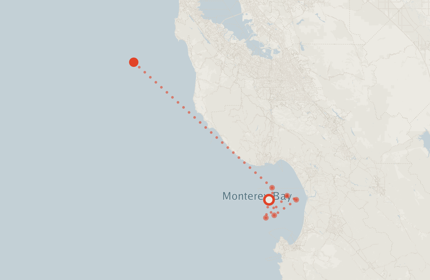 Activity map — real sighting points on an OpenStreetMap basemap