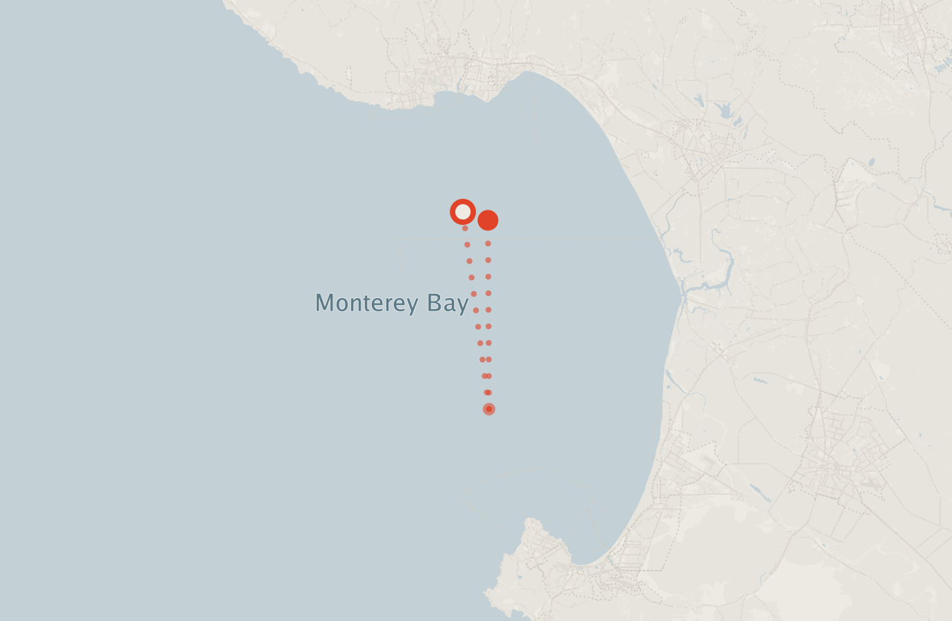 Activity map — real sighting points on an OpenStreetMap basemap