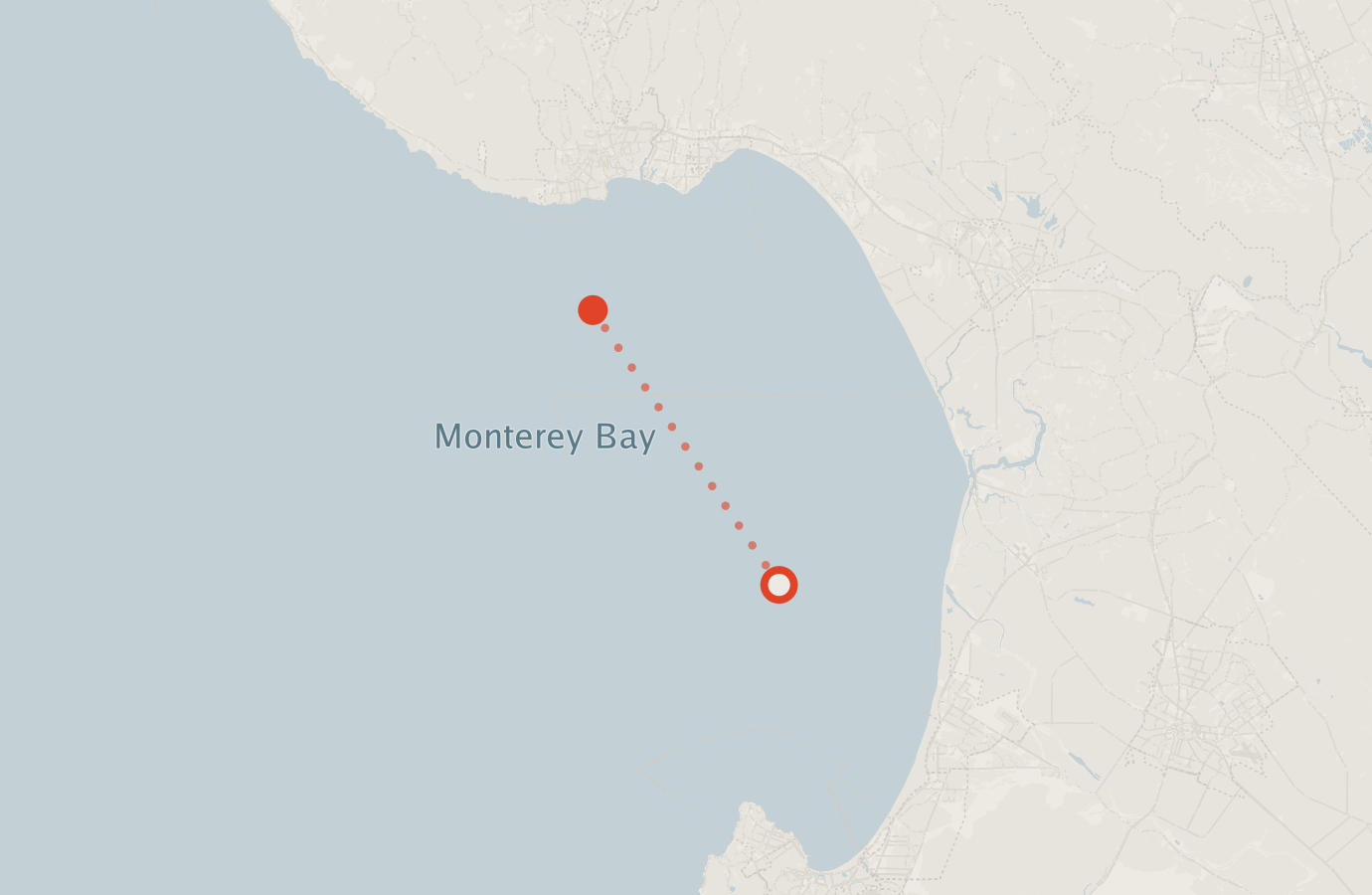 Activity map — real sighting points on an OpenStreetMap basemap