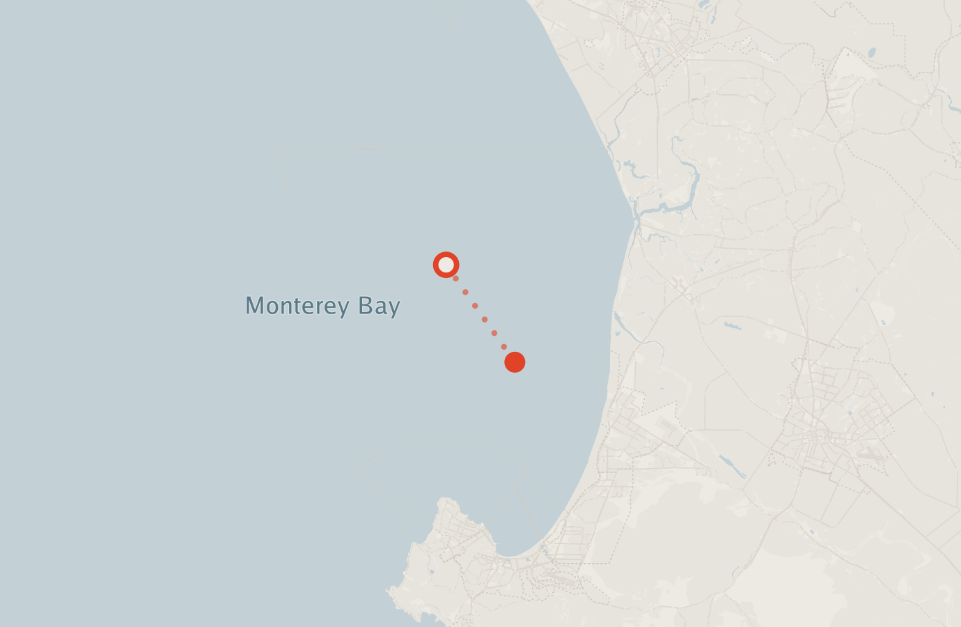 Activity map — real sighting points on an OpenStreetMap basemap