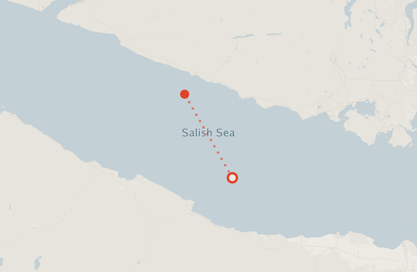 Activity map — real sighting points on an OpenStreetMap basemap