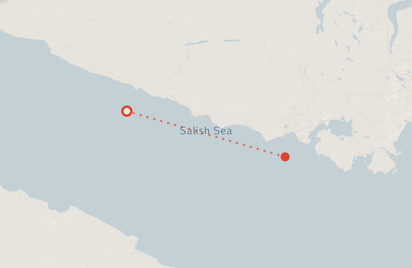 Activity map — real sighting points on an OpenStreetMap basemap