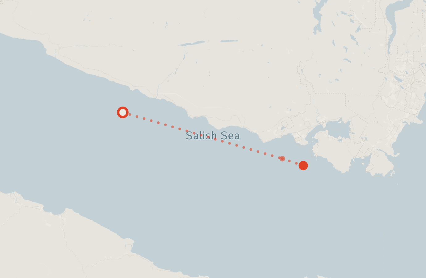 Activity map — real sighting points on an OpenStreetMap basemap