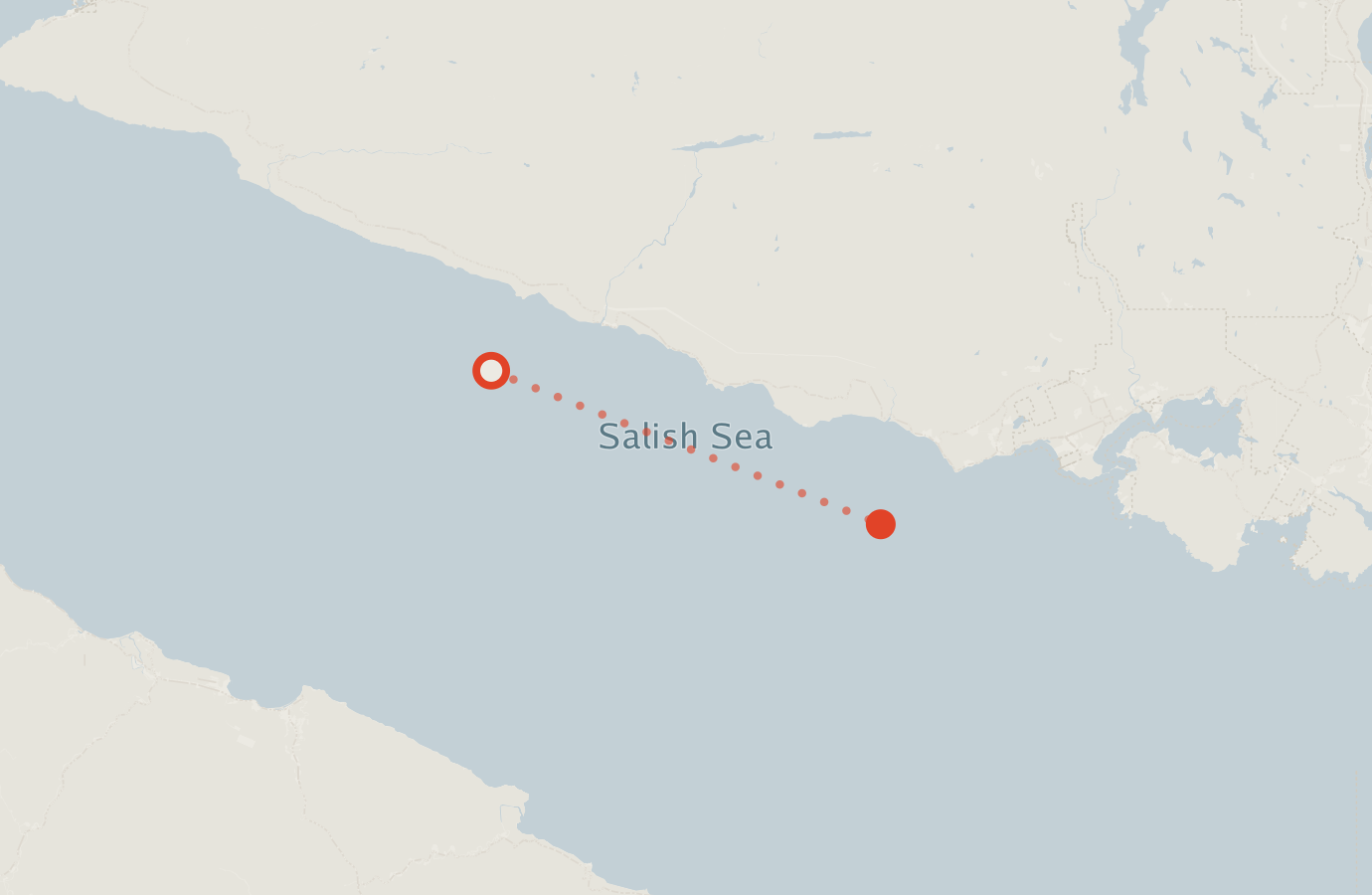 Activity map — real sighting points on an OpenStreetMap basemap