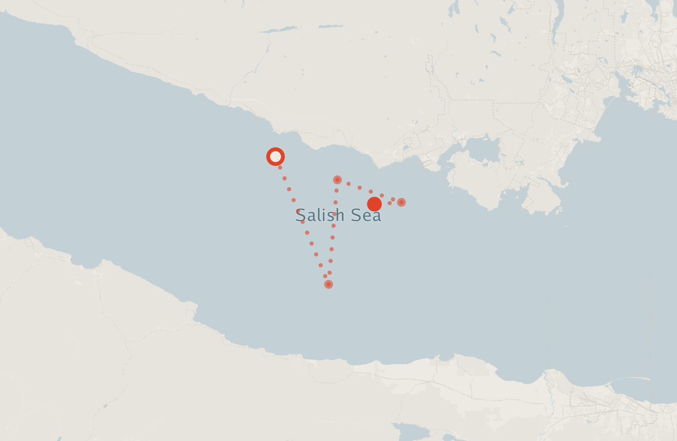 Activity map — real sighting points on an OpenStreetMap basemap
