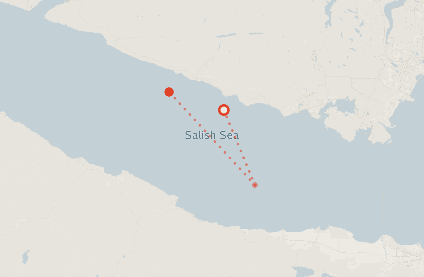 Activity map — real sighting points on an OpenStreetMap basemap