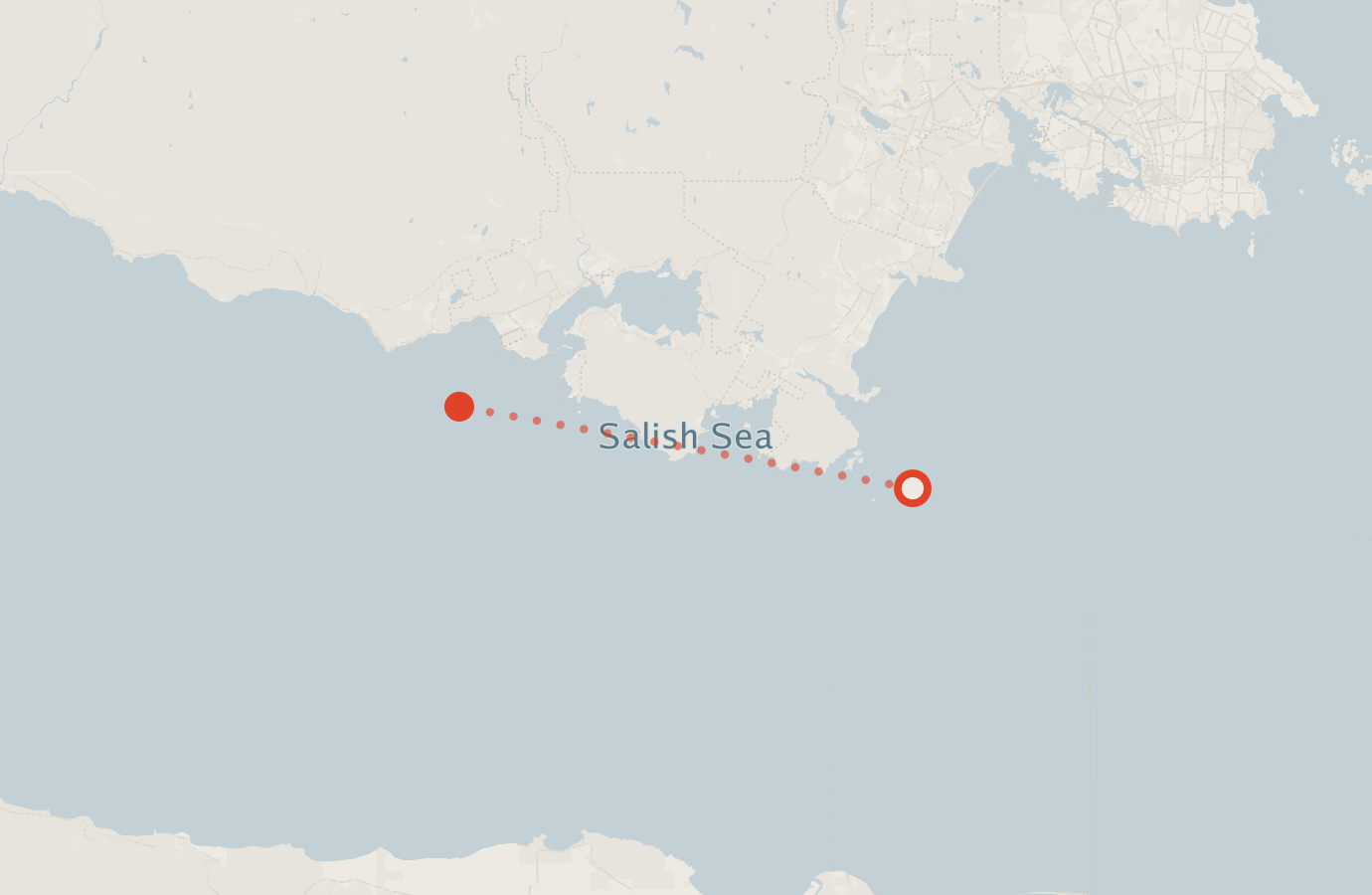 Activity map — real sighting points on an OpenStreetMap basemap