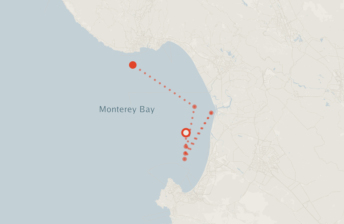 Activity map — real sighting points on an OpenStreetMap basemap