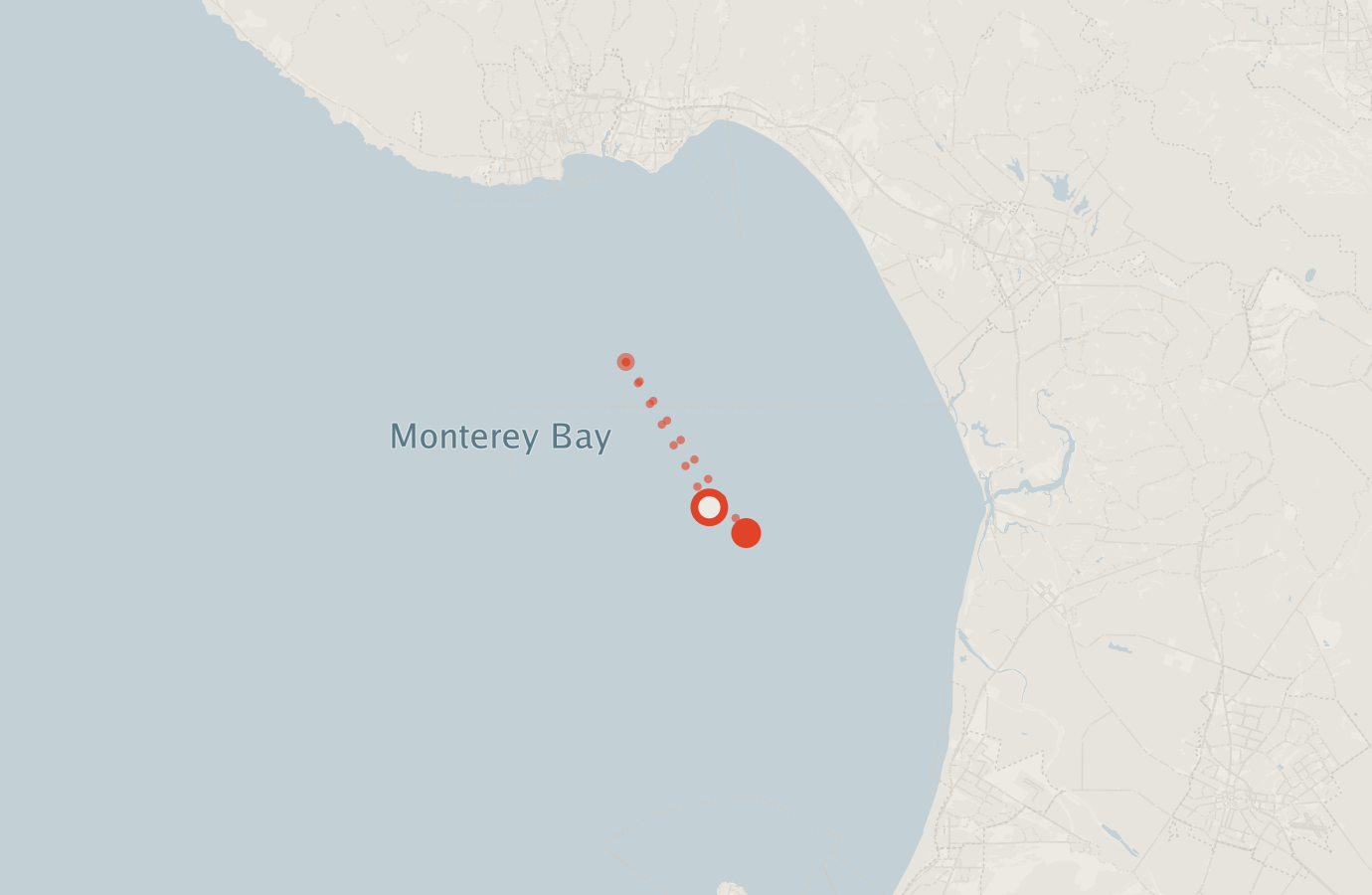 Activity map — real sighting points on an OpenStreetMap basemap