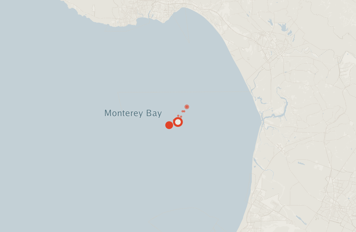 Activity map — real sighting points on an OpenStreetMap basemap