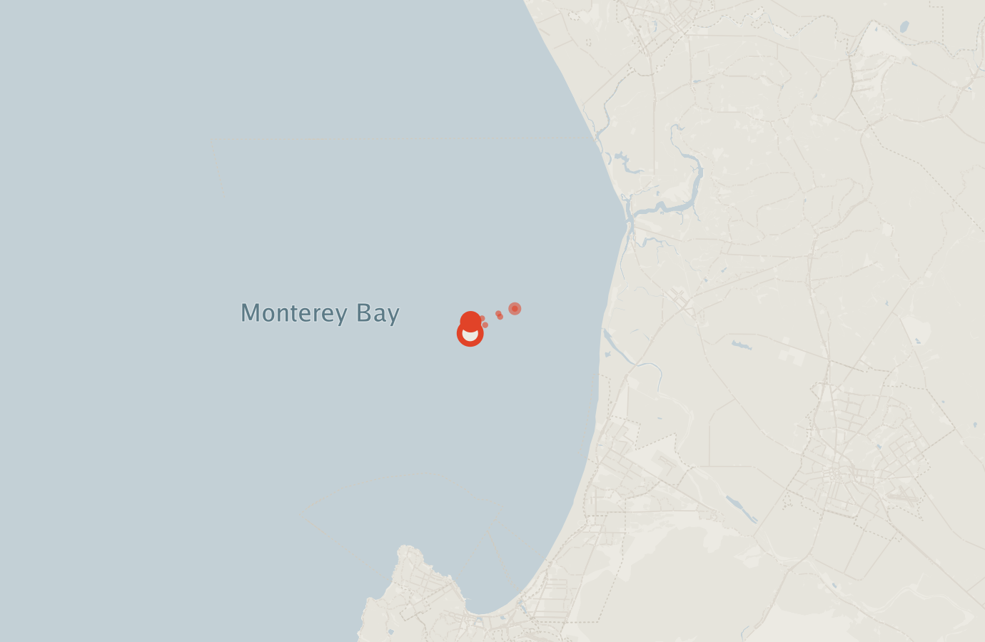 Activity map — real sighting points on an OpenStreetMap basemap