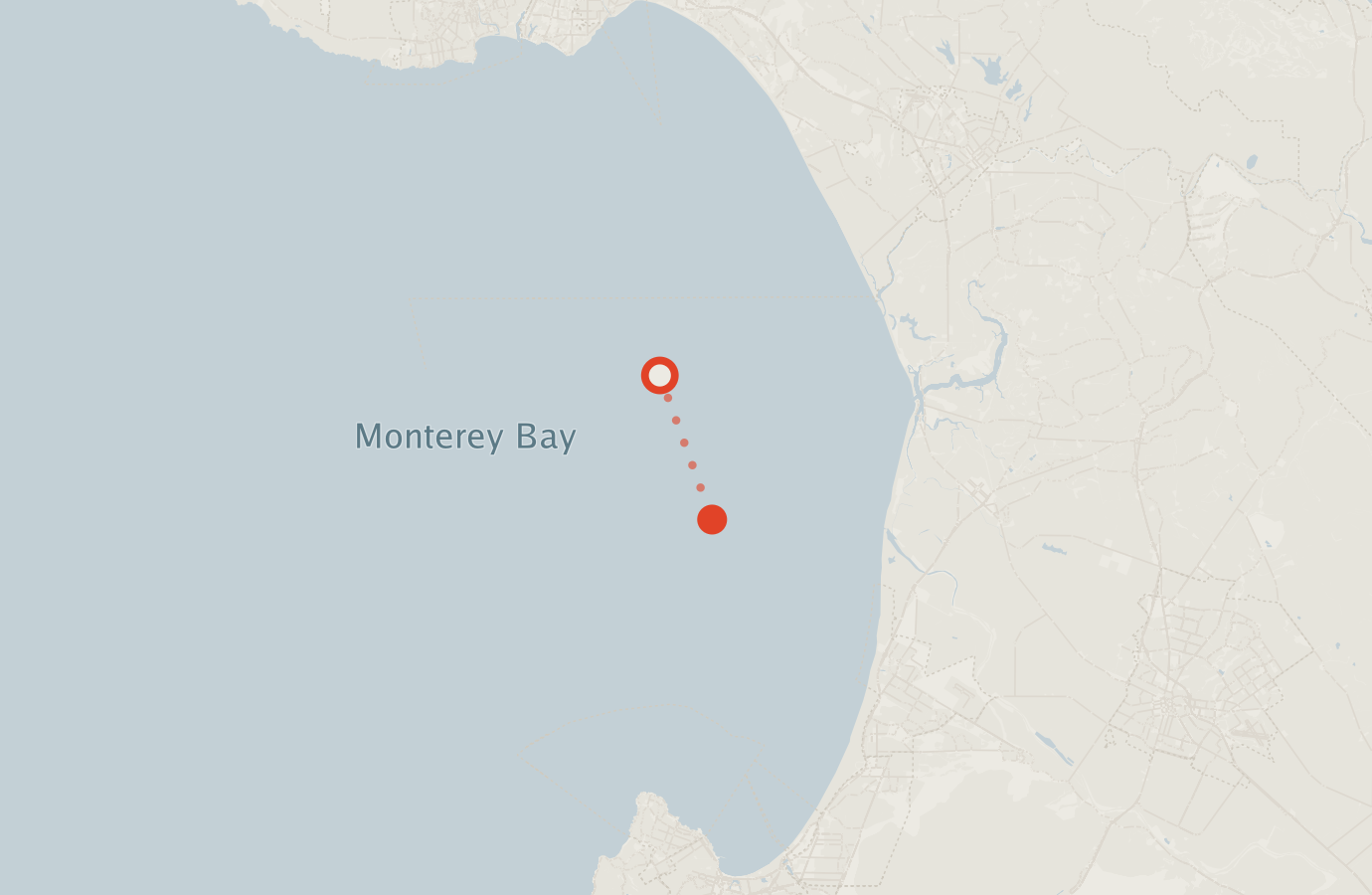 Activity map — real sighting points on an OpenStreetMap basemap