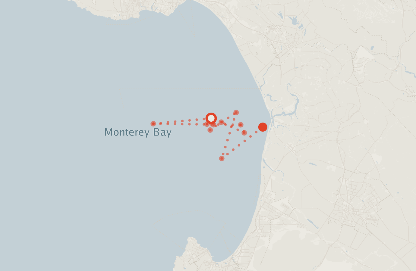 Activity map — real sighting points on an OpenStreetMap basemap