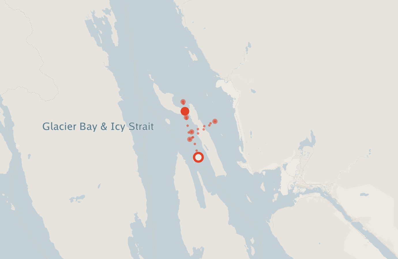 Activity map — real sighting points on an OpenStreetMap basemap