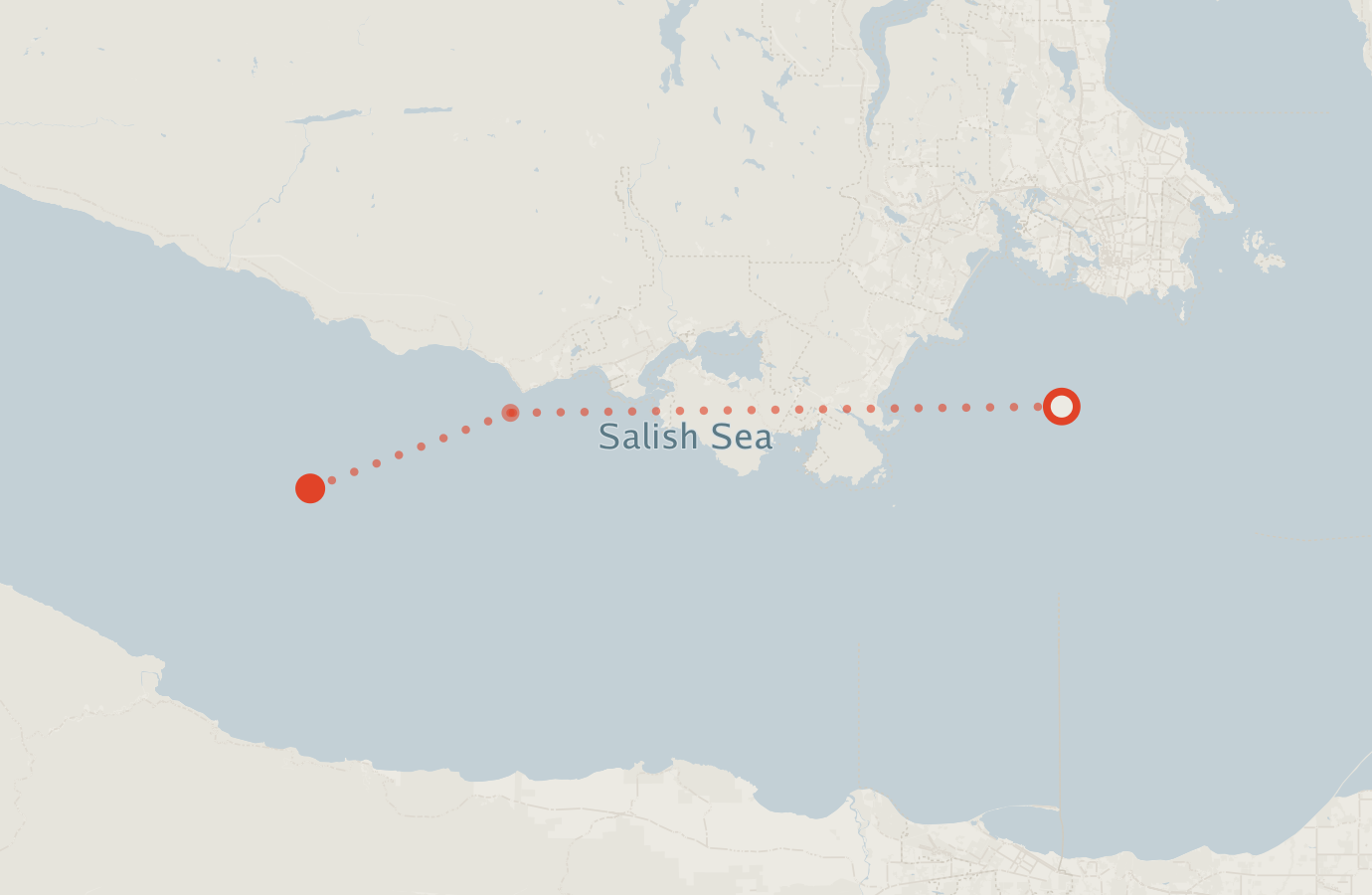 Activity map — real sighting points on an OpenStreetMap basemap