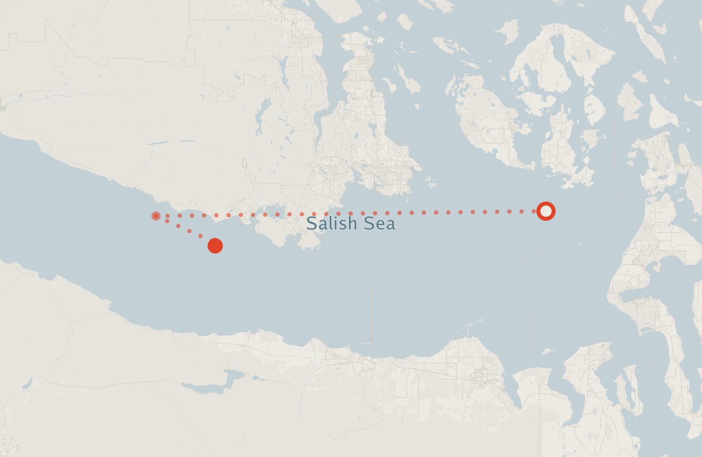 Activity map — real sighting points on an OpenStreetMap basemap