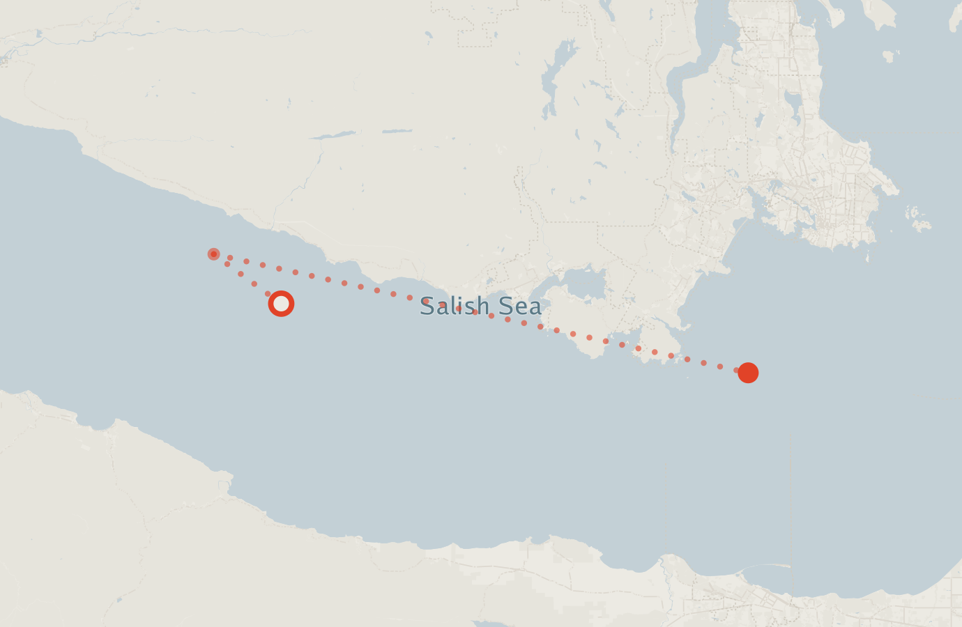 Activity map — real sighting points on an OpenStreetMap basemap