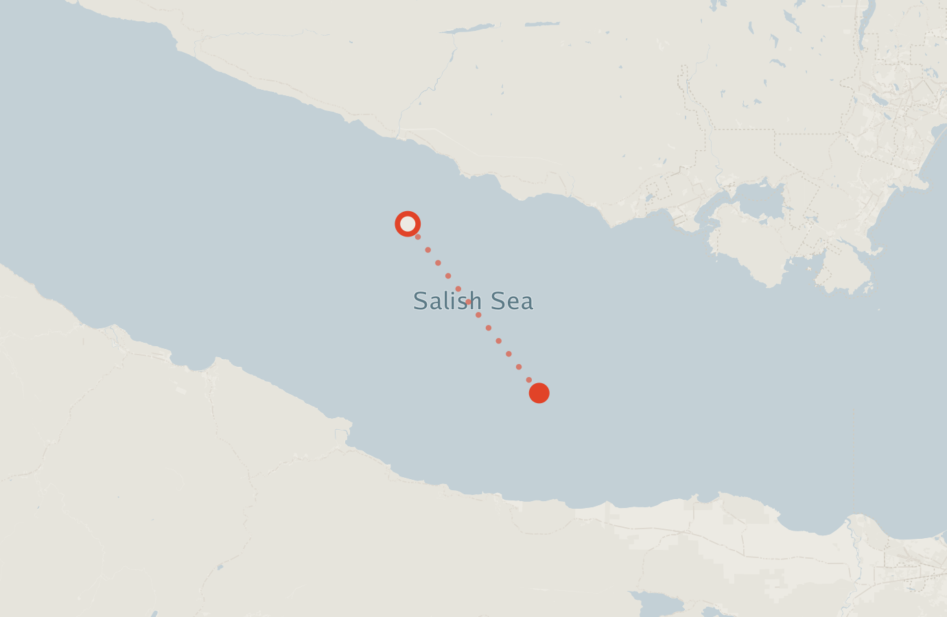 Activity map — real sighting points on an OpenStreetMap basemap