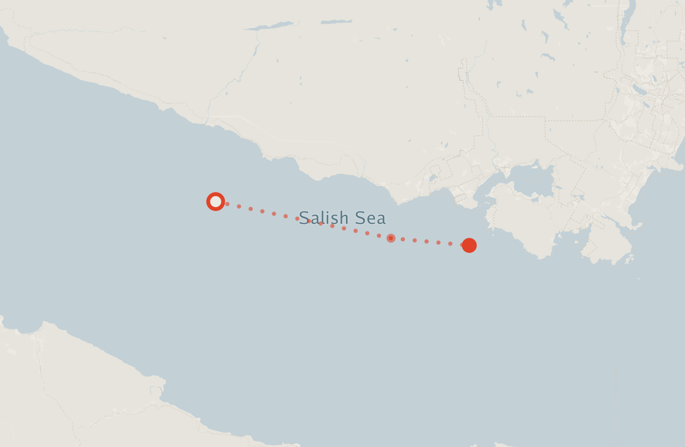Activity map — real sighting points on an OpenStreetMap basemap