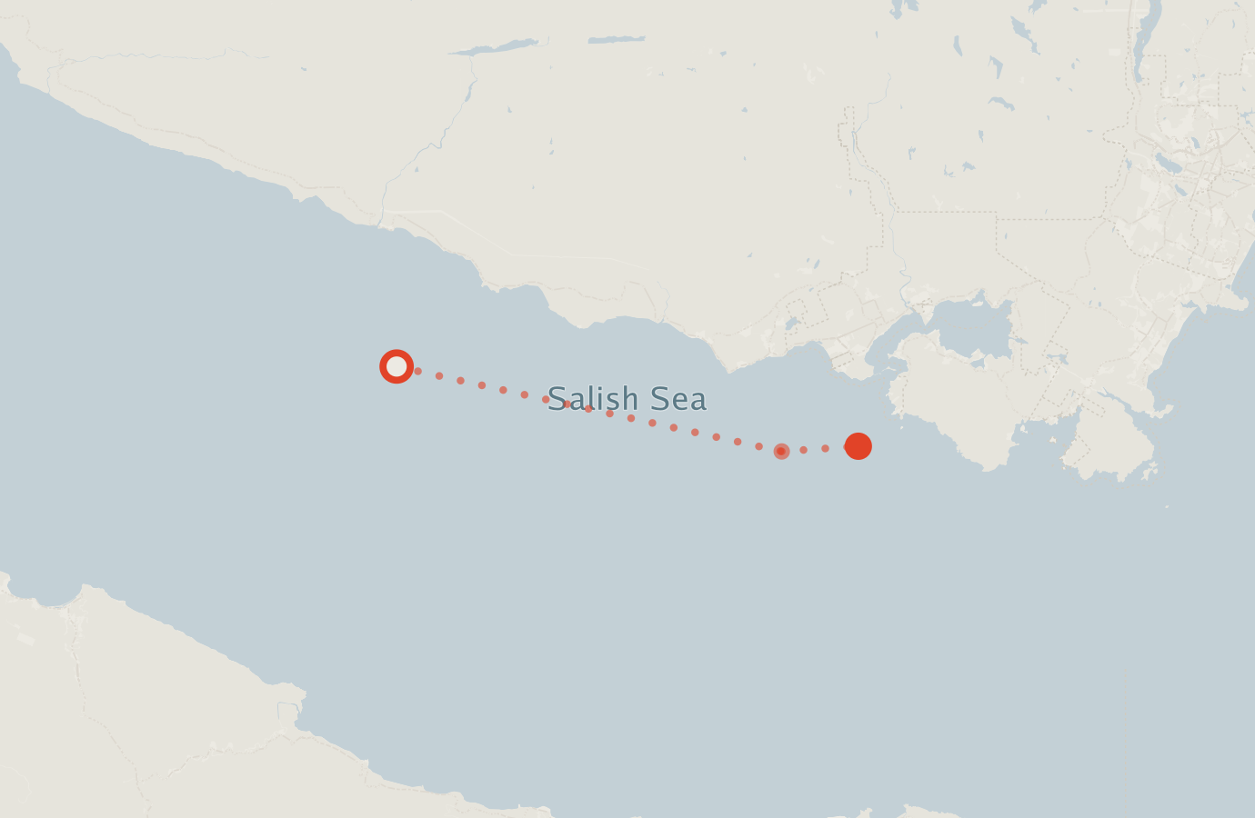 Activity map — real sighting points on an OpenStreetMap basemap