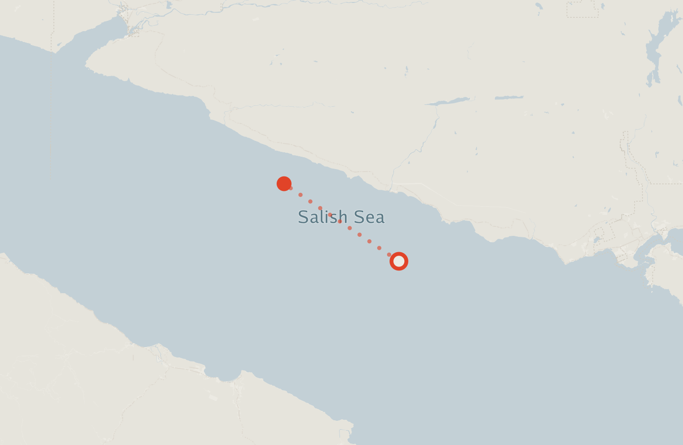 Activity map — real sighting points on an OpenStreetMap basemap