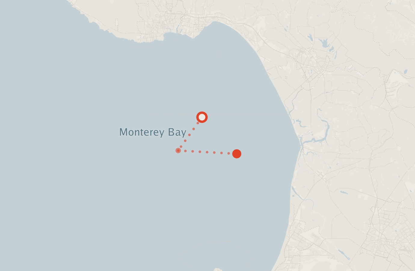 Activity map — real sighting points on an OpenStreetMap basemap